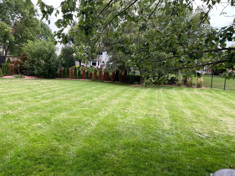 Reliable yard cleanup service for homes across Frankfort, IL - American Made Landscaping and Tree Care