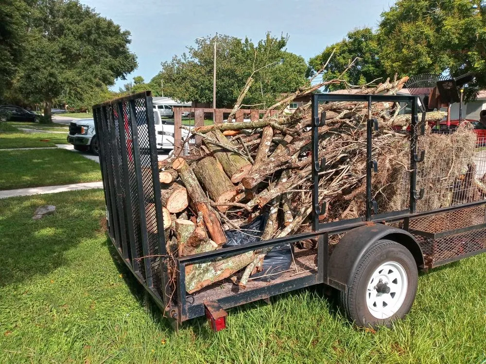 Professional landscaping services in Richmond, VA by American Made Property Solutions