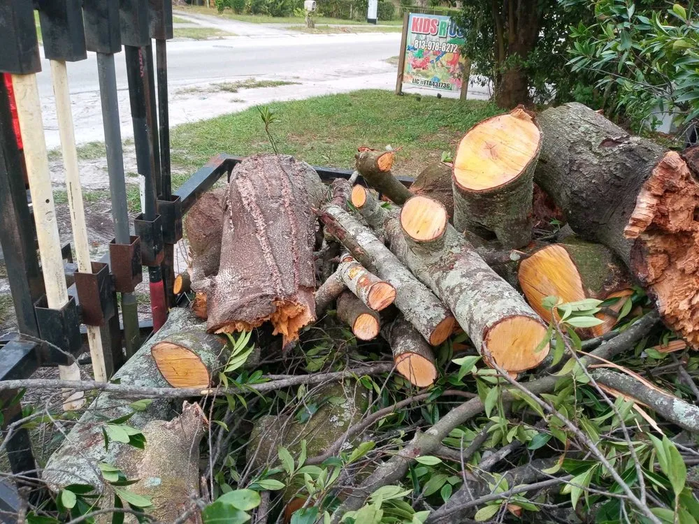 Expert yard cleanup service for year-round maintenance across Richmond, VA - American Made Property Solutions