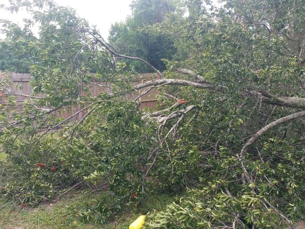 Top-rated landscaping services in Richmond, VA - American Made Property Solutions