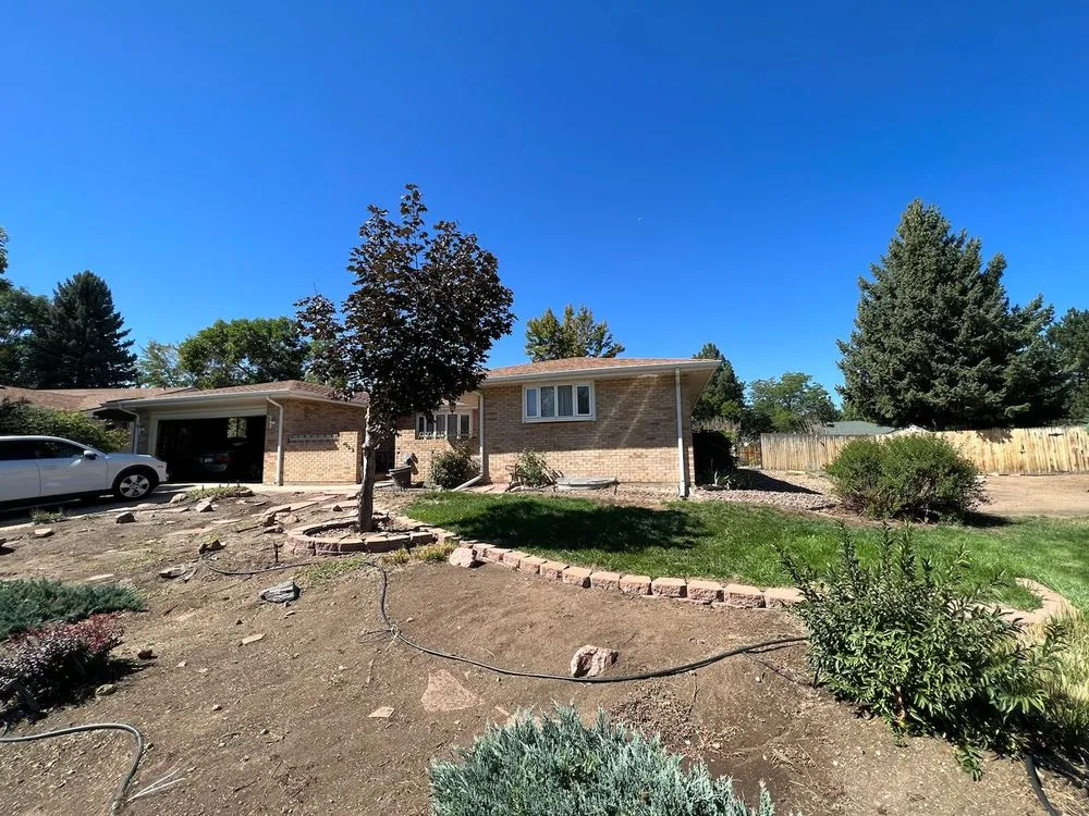 Reliable outdoor landscaping for homes across Lakewood, CO - American Mountain Tree