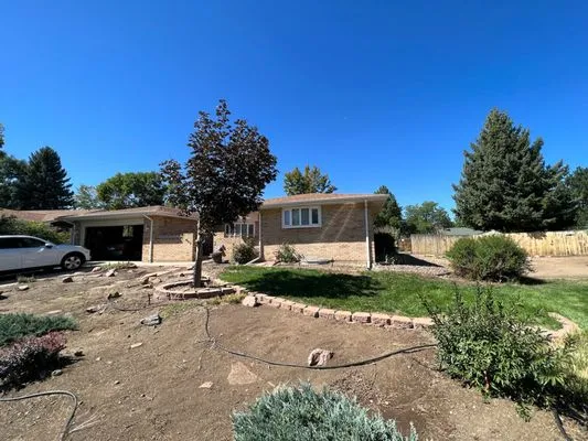 American Mountain Tree Logo