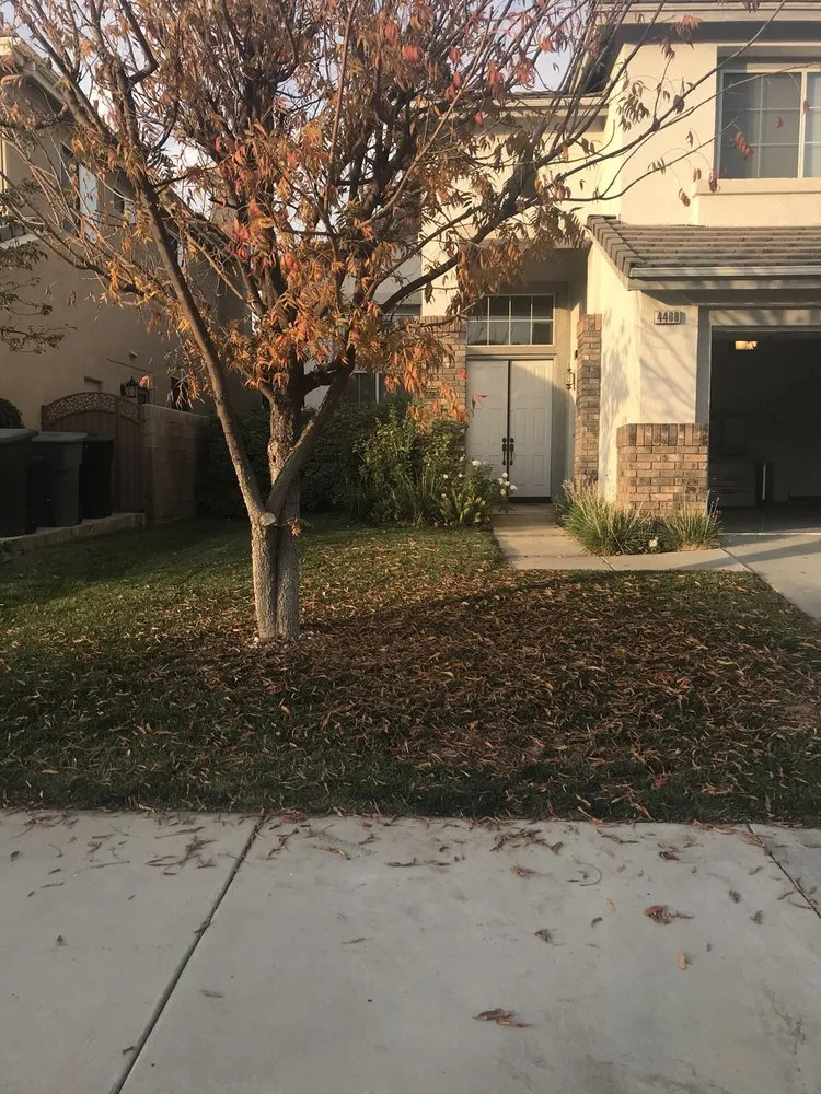 Custom lawn care service in Chino Hills, CA by American Mowing Chino Hills