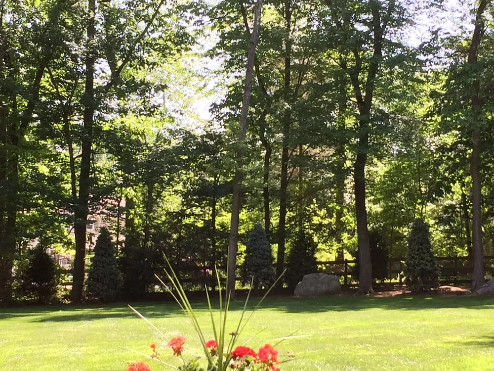 Reliable landscape design near you in Fair Lawn, NJ by American Nursery