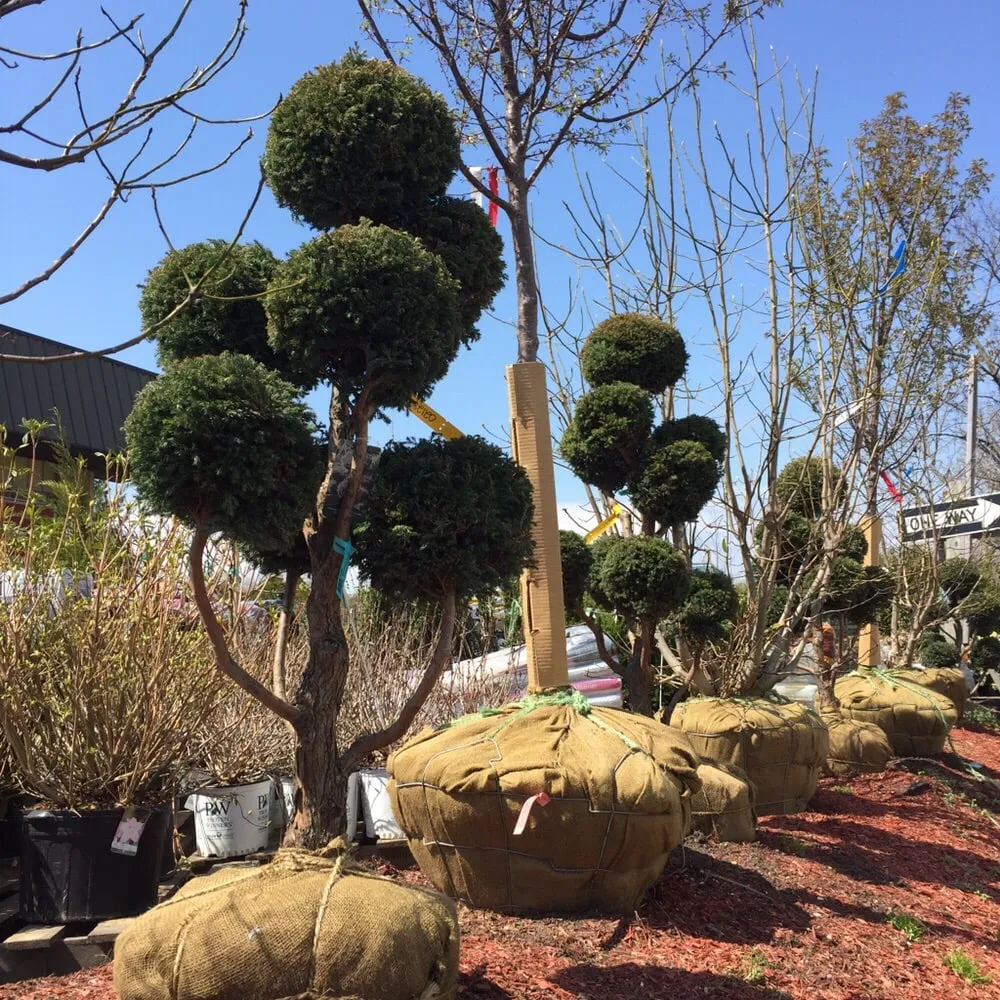 Reliable residential landscaping in Fair Lawn, NJ - American Nursery