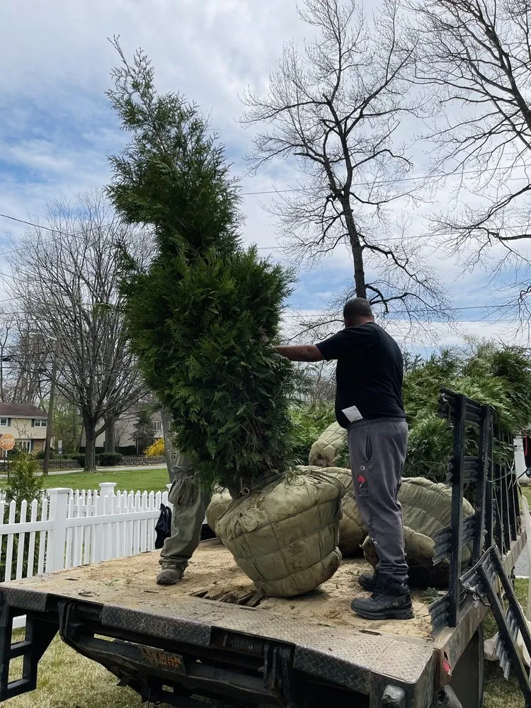 Professional yard maintenance for outdoor upgrades in Fair Lawn, NJ by American Nursery