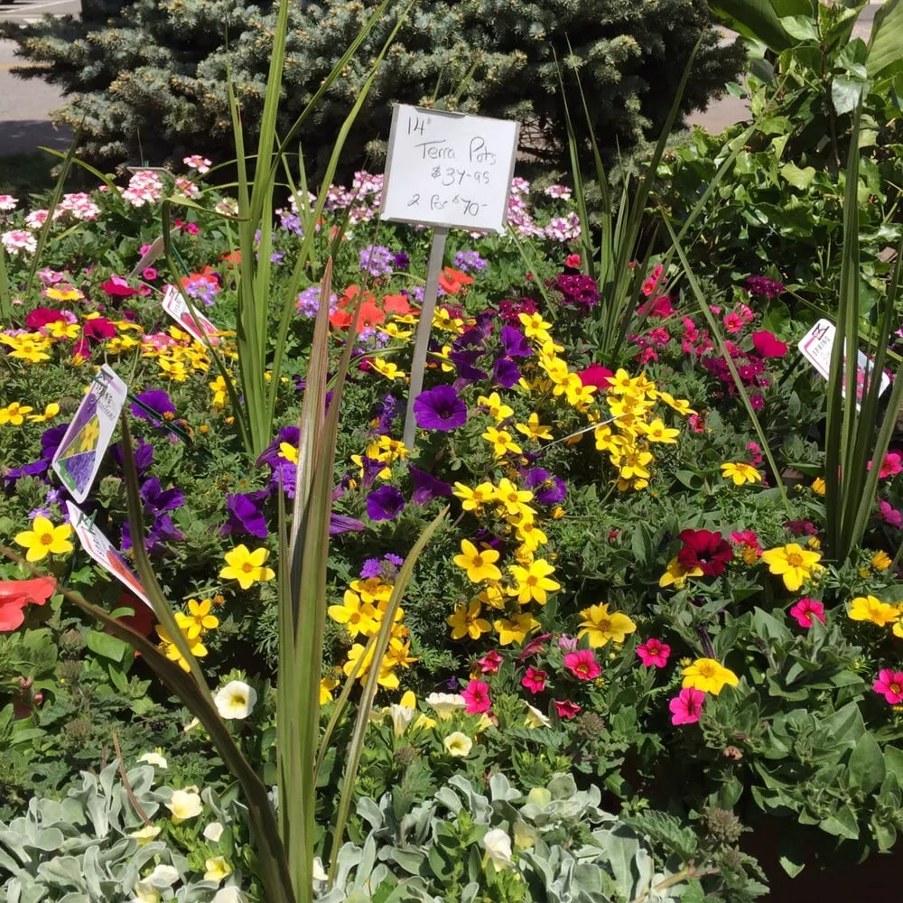 Custom yard maintenance in Fair Lawn, NJ - American Nursery