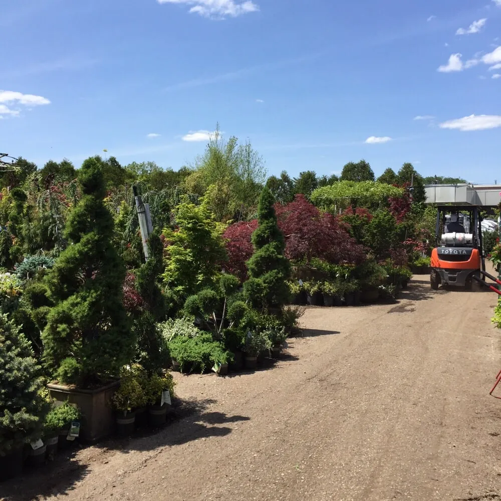 Top-rated residential landscaping in Fair Lawn, NJ - American Nursery