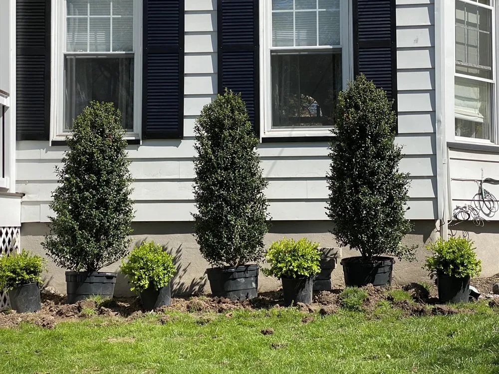 Affordable landscaping services for residential properties across Fair Lawn, NJ - American Nursery