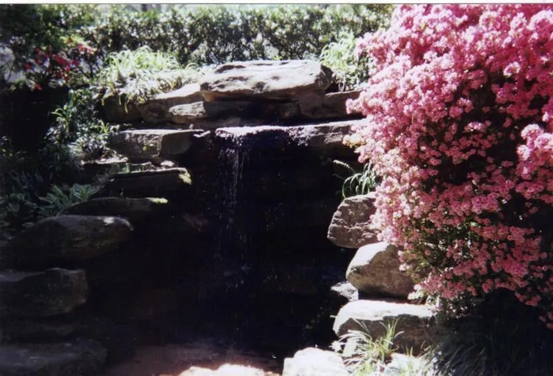 Affordable residential landscaping in Cumming, GA by American Outdoor Living