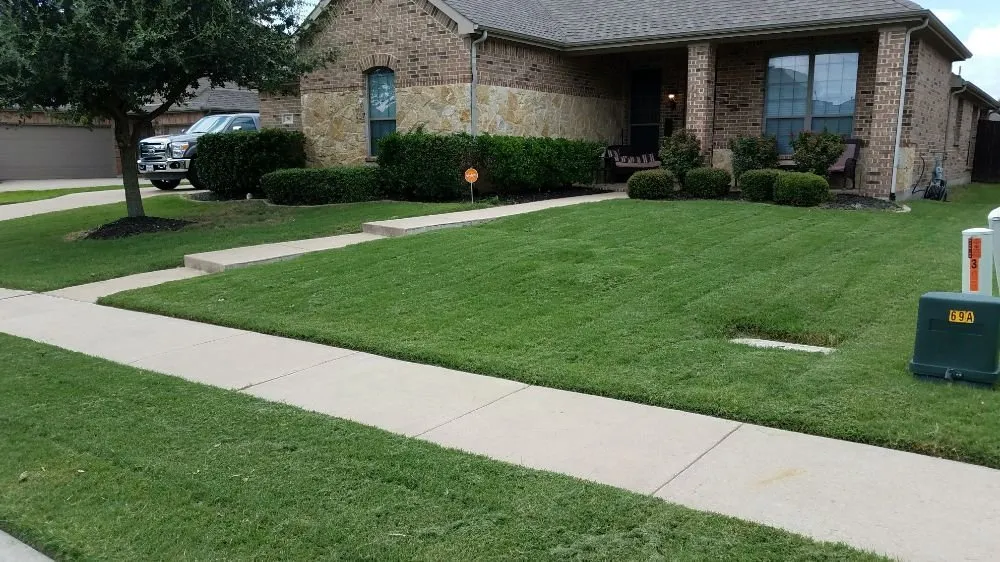 Top-rated yard maintenance near you in Nevada, TX by American Outdoor