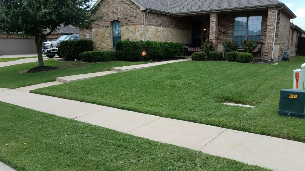 Professional lawn mowing service for year-round maintenance in Nevada, TX by American Outdoor