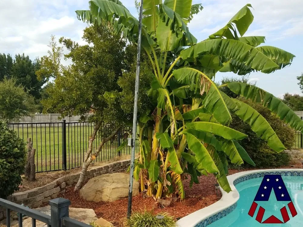 Affordable yard cleanup service in Nevada, TX - American Outdoor