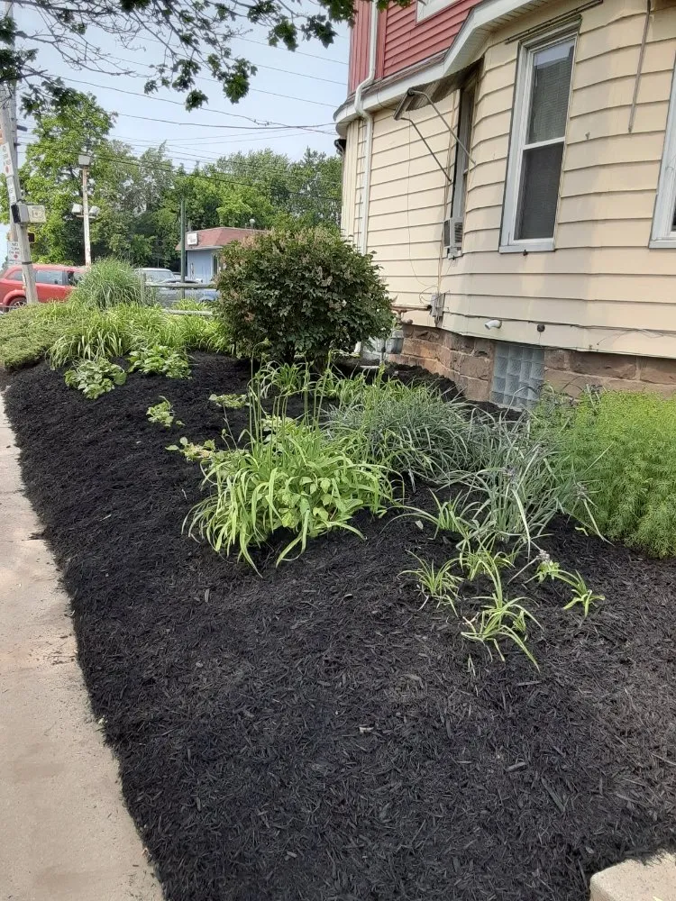 Professional landscaping services in Erie, PA - American Outdoor Services