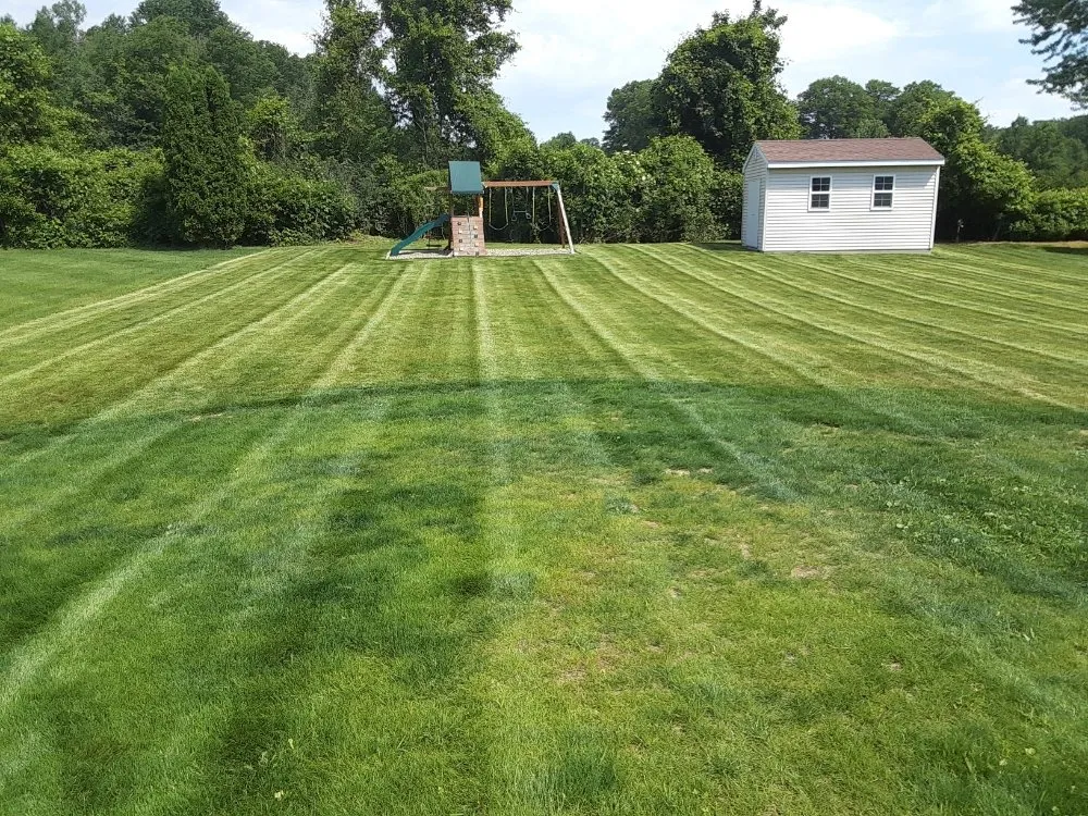 Local yard cleanup service in Erie, PA - American Outdoor Services