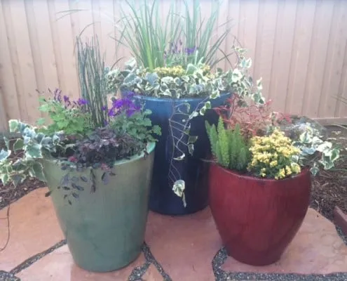 Reliable landscape installation in Lincoln, CA by American Outdoor Services