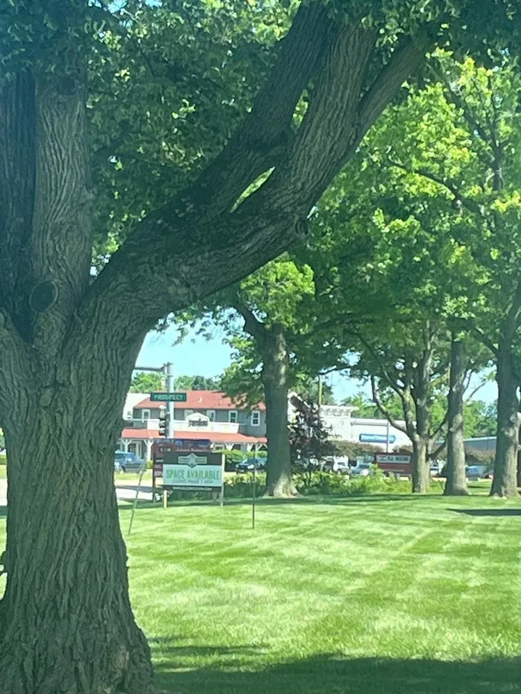 Reliable residential landscaping in Peoria, IL by American Outdoor Services