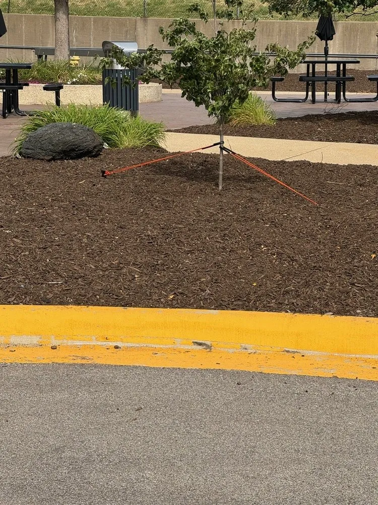 Affordable lawn mowing service in Peoria, IL - American Outdoor Services