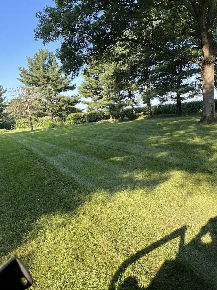 Affordable lawn care service in Peoria, IL - American Outdoor Services