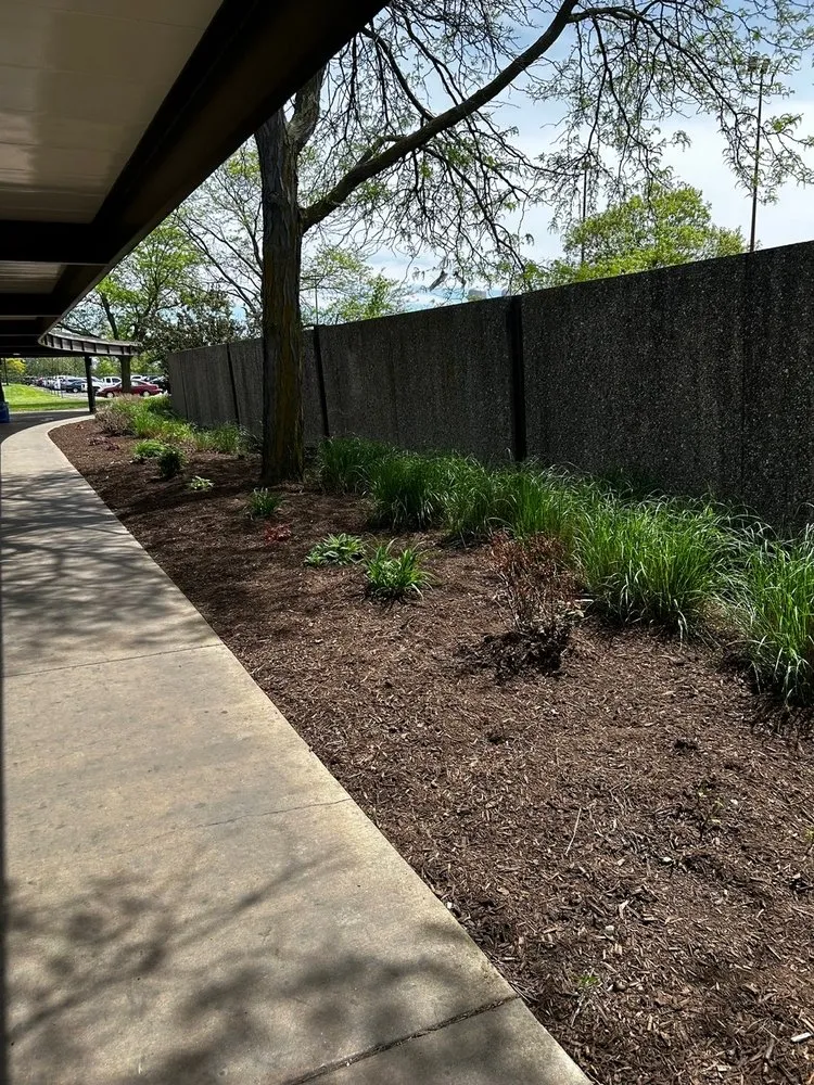 Expert yard cleanup service in Peoria, IL by American Outdoor Services