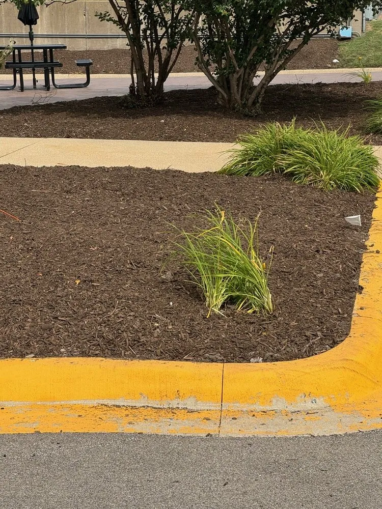 Local lawn care service in Peoria, IL - American Outdoor Services