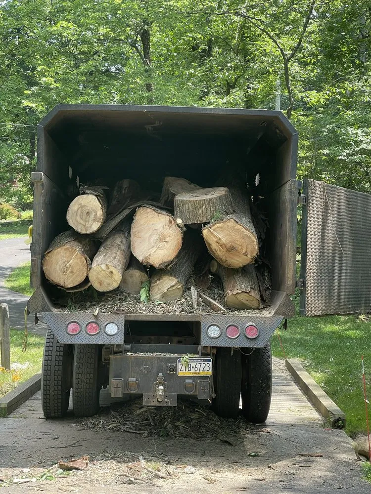 Professional landscape design in Langhorne, PA by American Outdoors Expert Tree Service