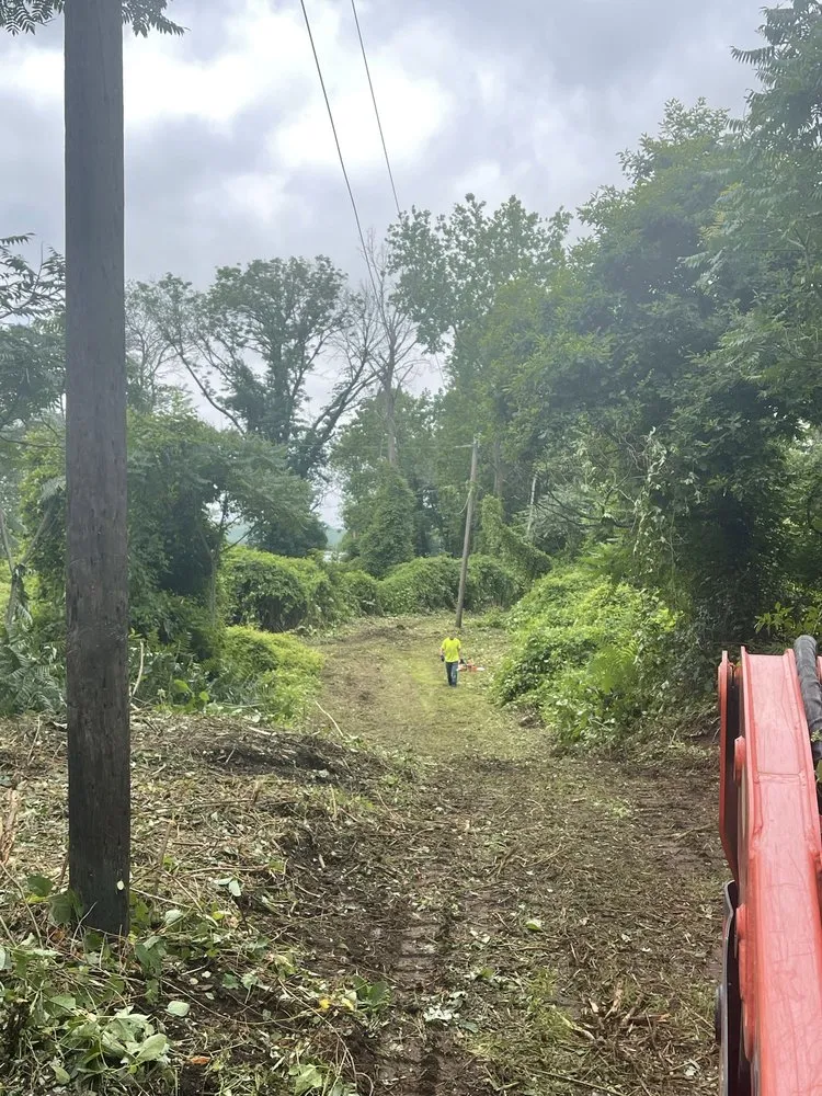 Affordable outdoor landscaping experts serving Langhorne, PA - American Outdoors Expert Tree Service