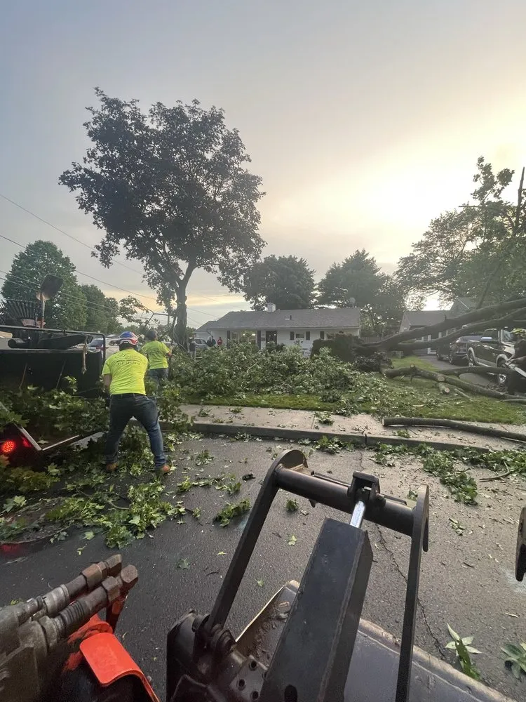 Top-rated outdoor landscaping for year-round maintenance in Langhorne, PA by American Outdoors Expert Tree Service