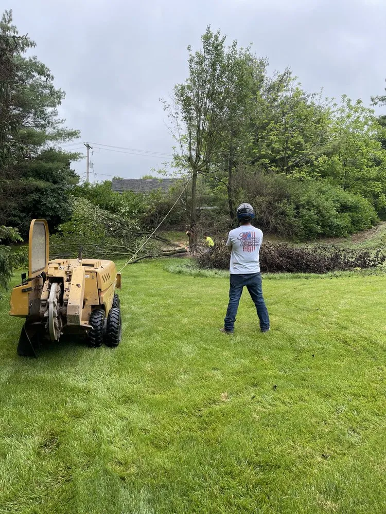 Expert landscape installation in Langhorne, PA - American Outdoors Expert Tree Service