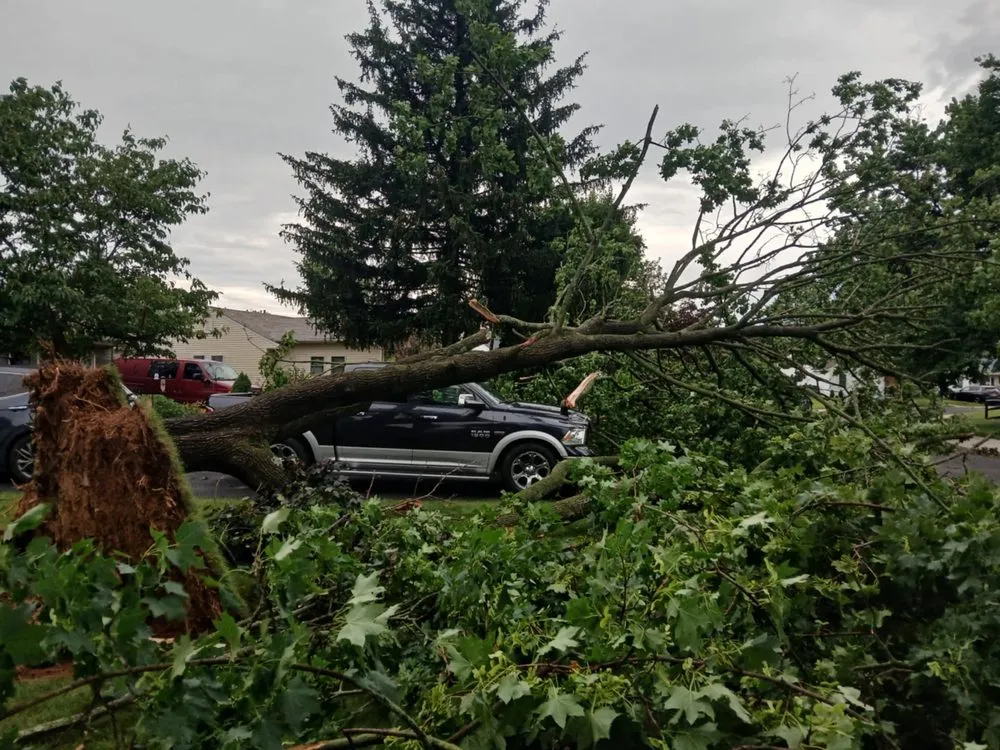 Affordable outdoor landscaping in Langhorne, PA by American Outdoors Expert Tree Service