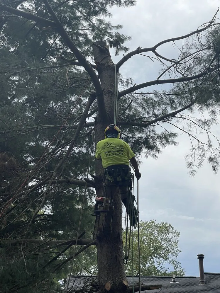 Reliable outdoor landscaping for beautiful yards in Langhorne, PA by American Outdoors Expert Tree Service