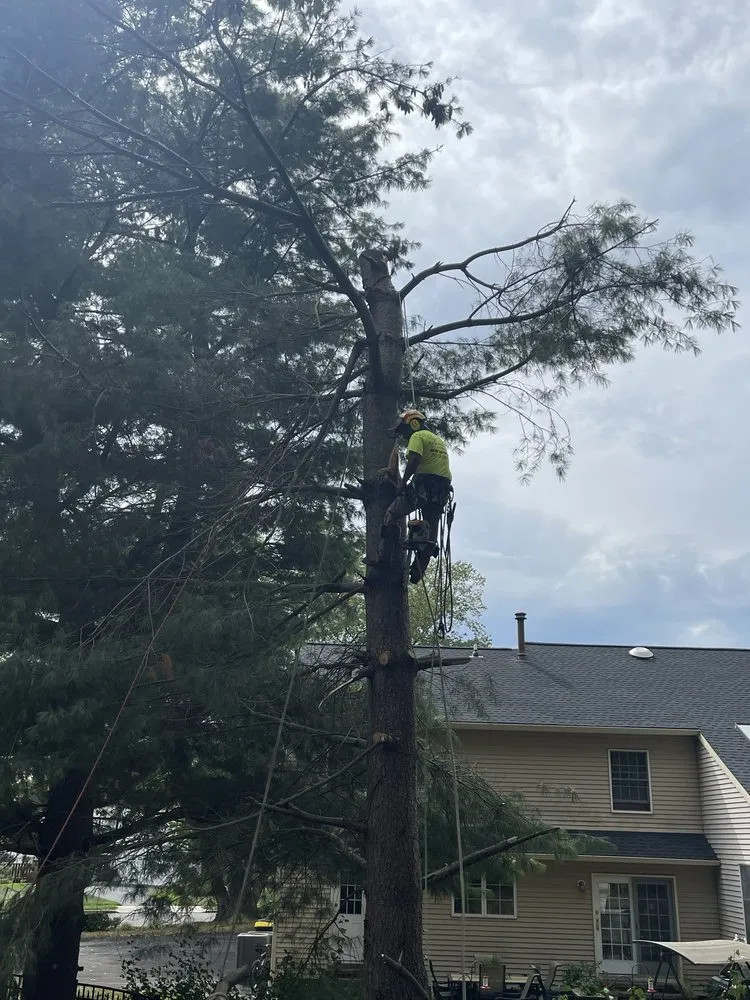 Custom yard maintenance in Langhorne, PA - American Outdoors Expert Tree Service