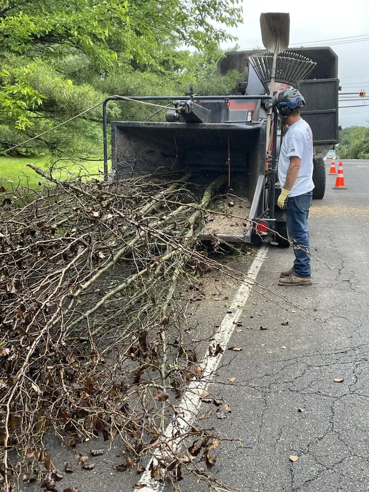 Trusted lawn mowing service experts serving Langhorne, PA - American Outdoors Expert Tree Service