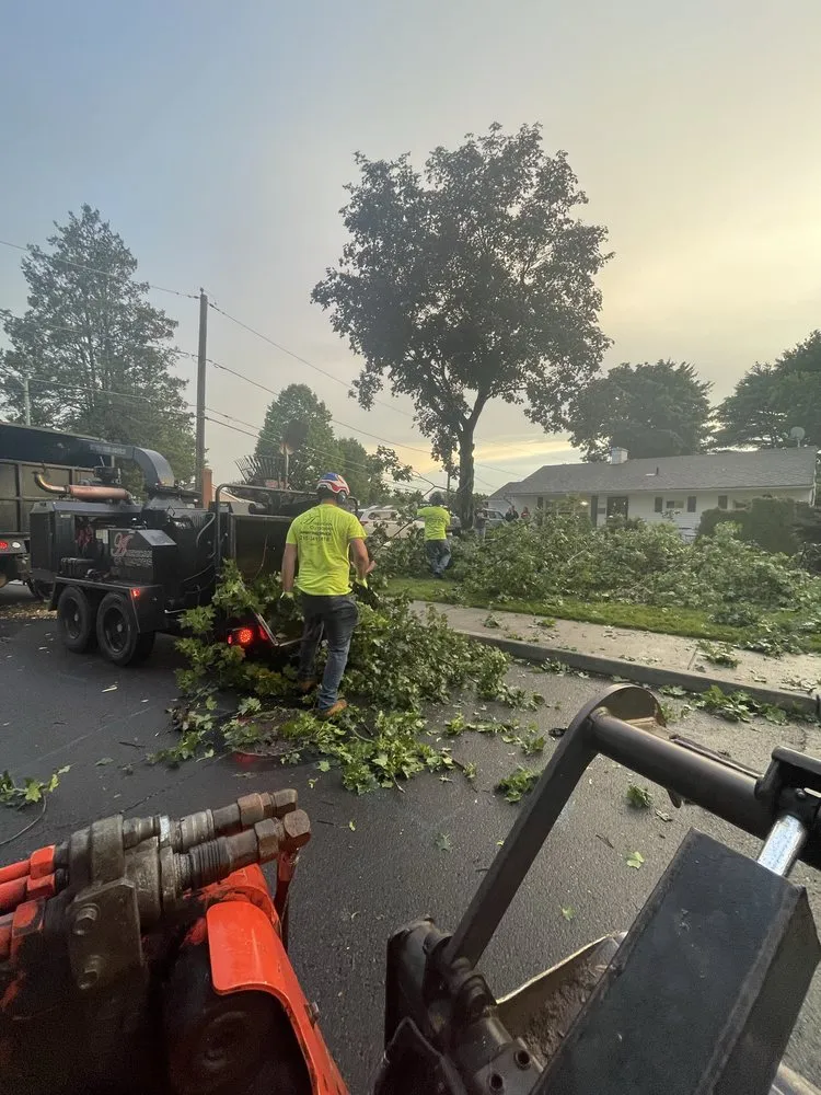 Expert lawn care service experts serving Langhorne, PA - American Outdoors Expert Tree Service