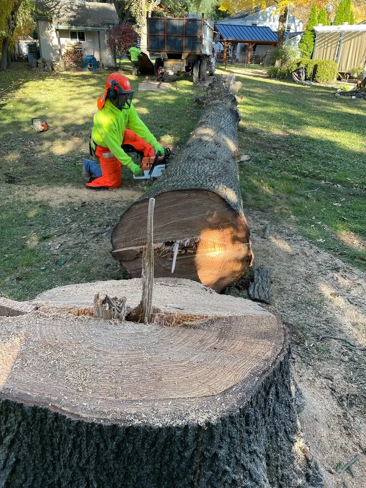 Affordable yard cleanup service for beautiful yards across Langhorne, PA - American Outdoors Expert Tree Service