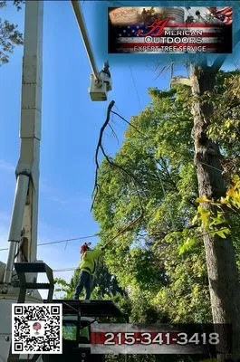 American Outdoors Expert Tree Service