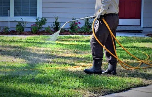 Top-rated lawn mowing service experts serving Fort Myers, FL - American Pest Pro