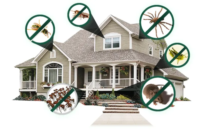 Expert lawn care service for homes in Fort Myers, FL by American Pest Pro
