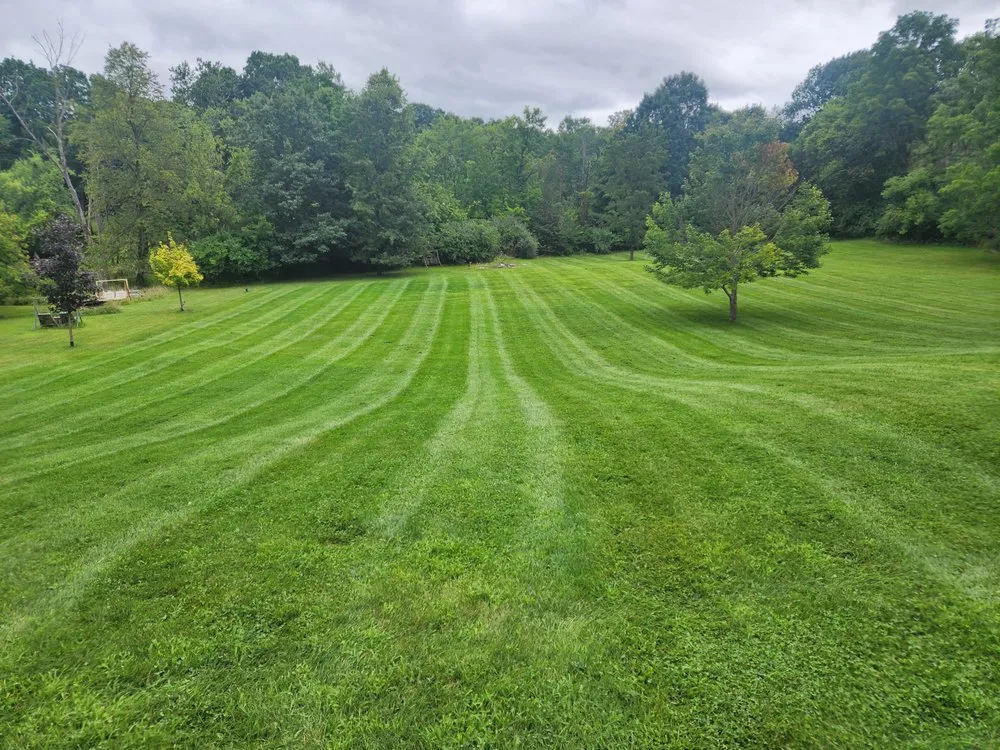 Professional yard cleanup service for beautiful yards across Montrose, MI - American Pride Lawn Care and Snow Removal