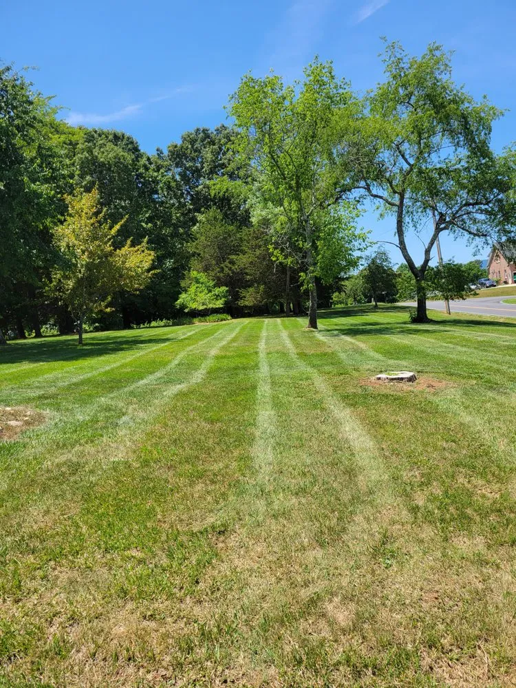 Top-rated lawn care service experts serving Evington, VA - American Pride Lawn Care and Tree Service