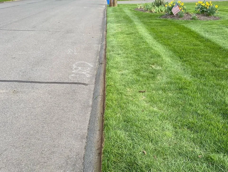 Custom yard cleanup service in Bristol, CT - American Pride Lawn Care