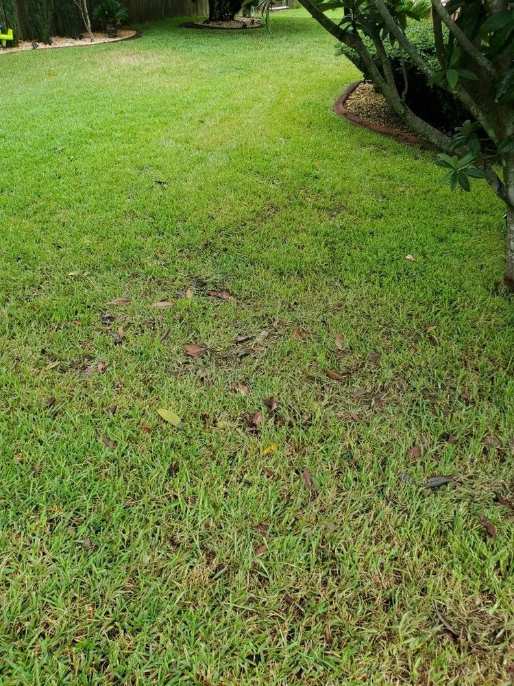 Professional landscaping services with custom design in Gulf Breeze, FL by American Pride Lawn Care