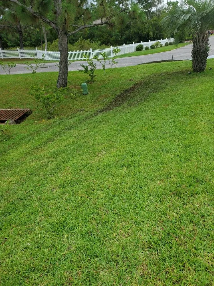 Expert landscape installation for outdoor upgrades in Gulf Breeze, FL by American Pride Lawn Care