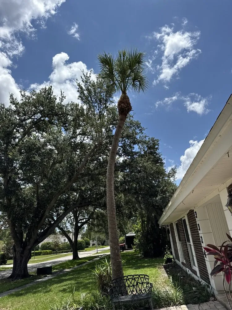 Professional yard maintenance for homes in Tampa Bay, FL by American Pride Lawn Care Services