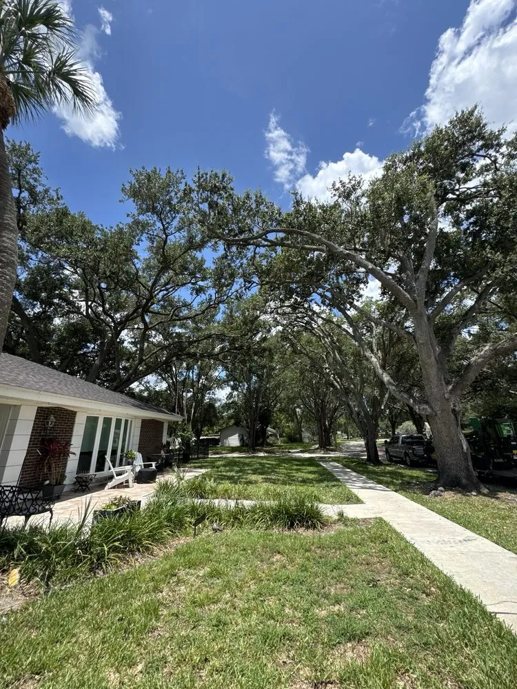 Reliable yard maintenance experts serving Tampa Bay, FL - American Pride Lawn Care Services