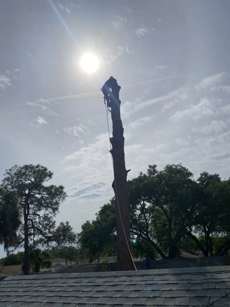 Local residential landscaping in Tampa Bay, FL by American Pride Lawn Care Services