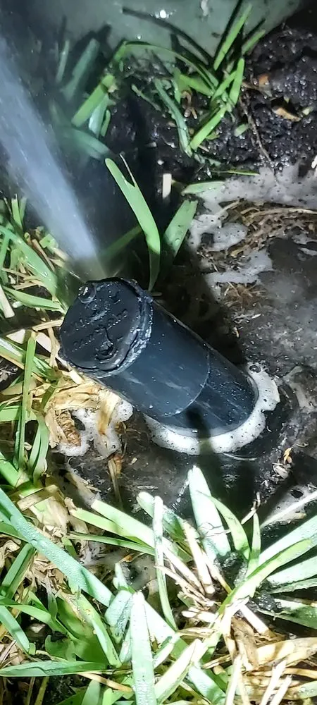 Expert residential landscaping for year-round maintenance in Fort Myers, FL by American Pride Outdoor Svcs