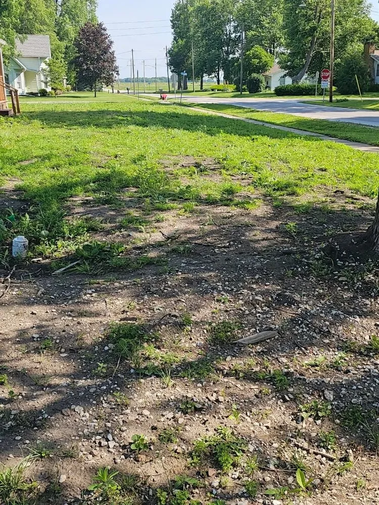Expert lawn mowing service in Arenzville, IL by American Pride Tractor Services & Power Washing