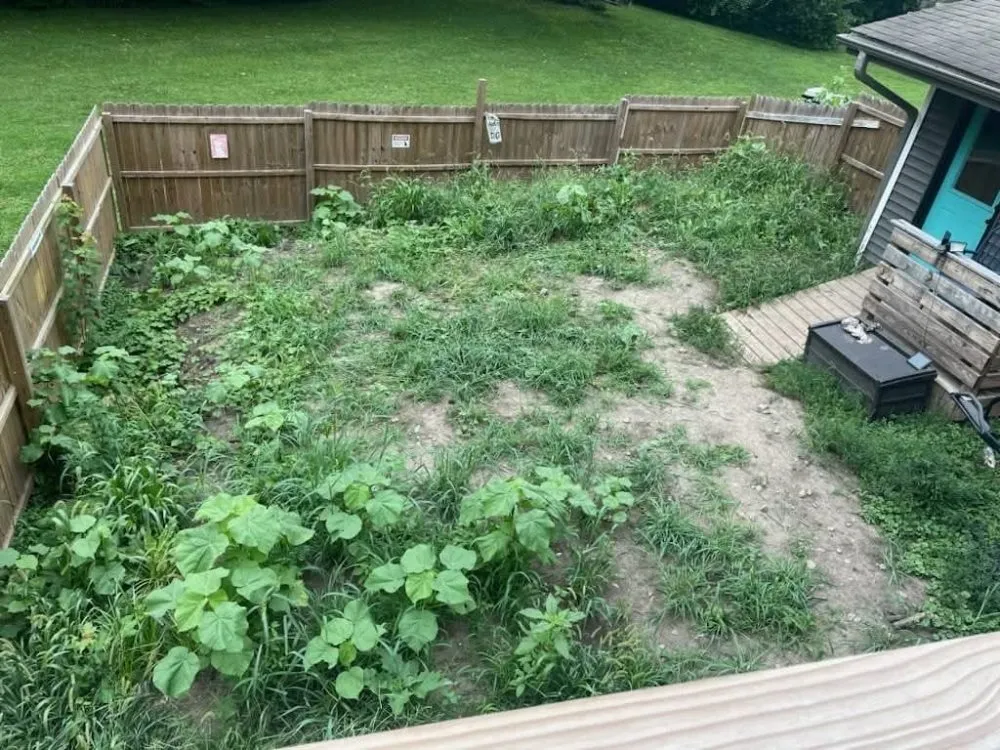 Expert lawn care service for homes in Arenzville, IL by American Pride Tractor Services & Power Washing