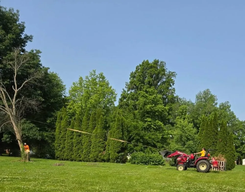 Top-rated garden landscaping experts serving Arenzville, IL - American Pride Tractor Services & Power Washing